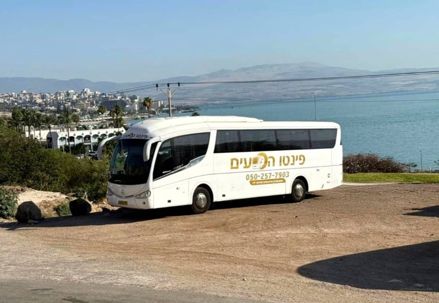 אוטובוס פינטו הסעים בכביש