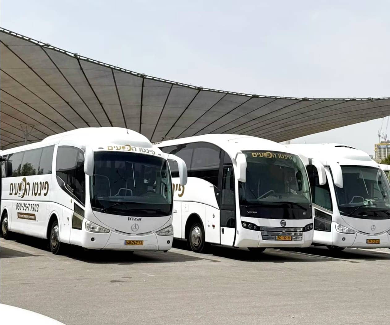 שלושה אוטובוסים של פינטו הסעים חונים יחד